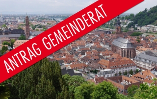 Antrag der AfD im Gemeinderat Heidelberg